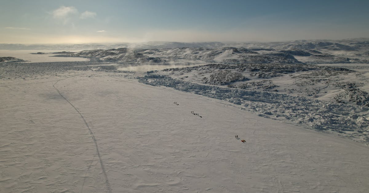 partez &agrave; l'aventure avec notre exp&eacute;dition en groenland, d&eacute;couvrez des paysages &eacute;poustouflants, la faune arctique unique et vivez une exp&eacute;rience inoubliable en pleine nature.