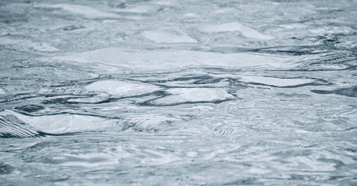 d&eacute;couvrez le gulf stream, le courant oc&eacute;anique chaud puissant qui influence le climat de l'atlantique nord et joue un r&ocirc;le cl&eacute; dans les syst&egrave;mes m&eacute;t&eacute;orologiques.