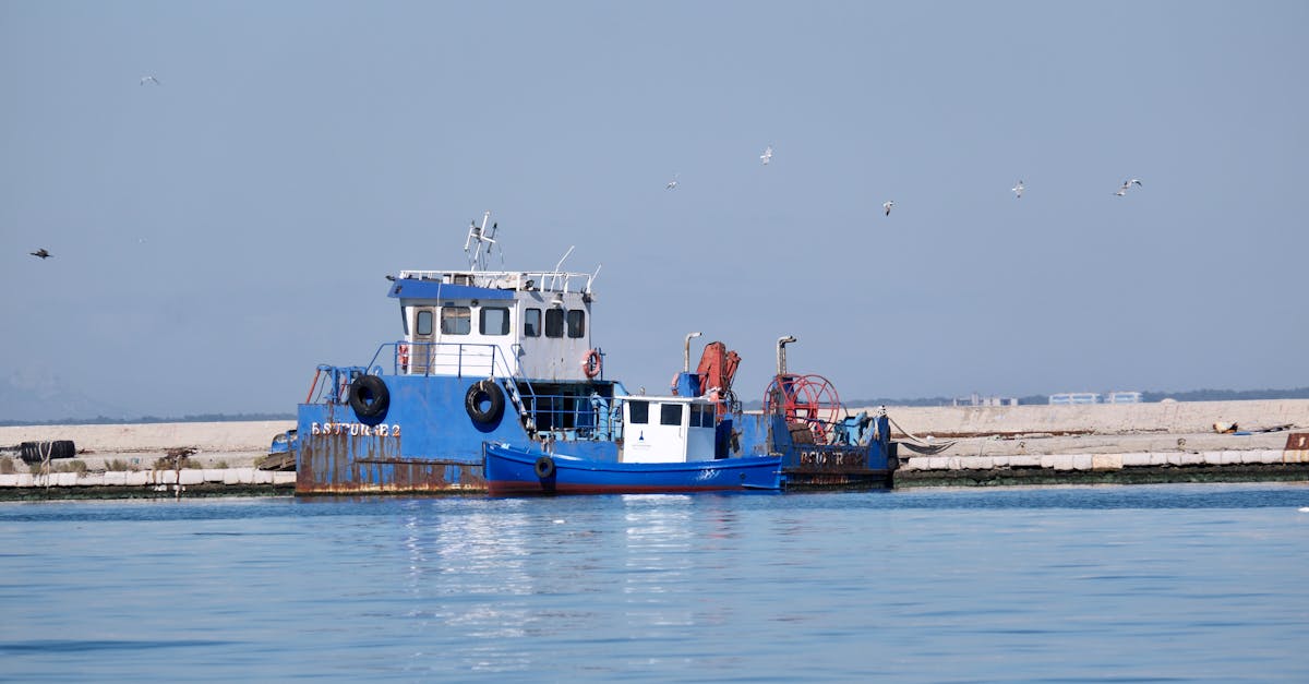 d&eacute;couvrez le gulf stream, ce courant oc&eacute;anique chaud majeur qui influence le climat de l'atlantique nord et joue un r&ocirc;le essentiel dans les &eacute;cosyst&egrave;mes marins.
