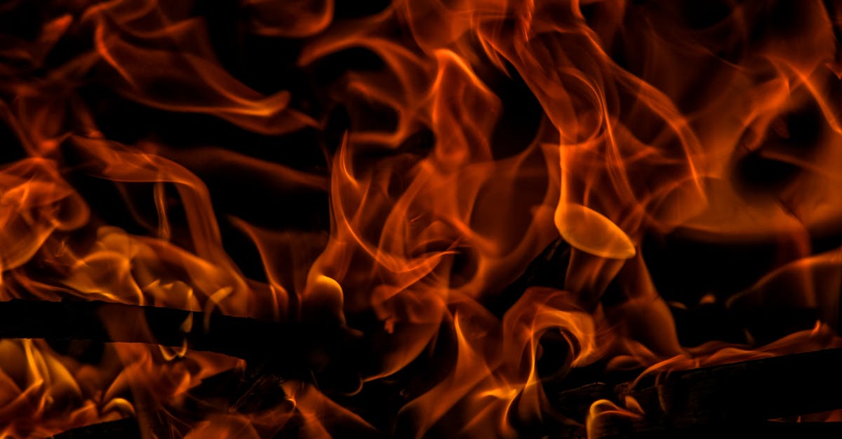 d&eacute;couvrez comment faire face &agrave; une vague de chaleur : conseils, pr&eacute;vention et astuces pour rester au frais et en s&eacute;curit&eacute; pendant les fortes chaleurs.