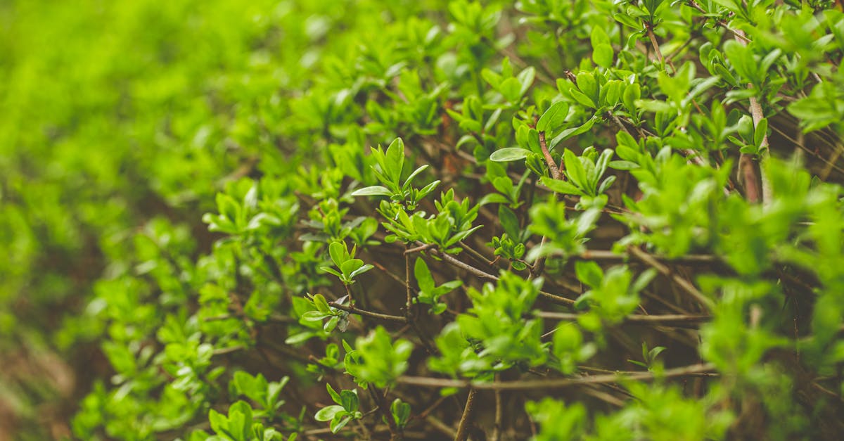 découvrez hedge experts, votre partenaire de confiance pour des stratégies de gestion de risques financières efficaces et personnalisées.