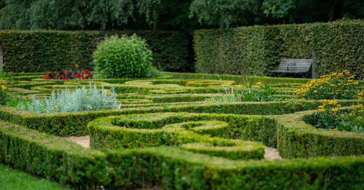 d&eacute;couvrez hedge experts, votre partenaire de confiance pour des solutions financi&egrave;res innovantes et une gestion experte de vos investissements.