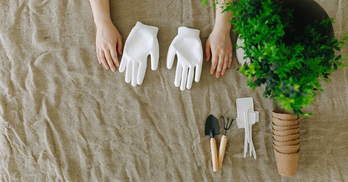 découvrez la foire maison & jardin, l'événement incontournable pour trouver les meilleures idées, produits et conseils pour aménager et décorer votre intérieur et extérieur avec style et innovation.