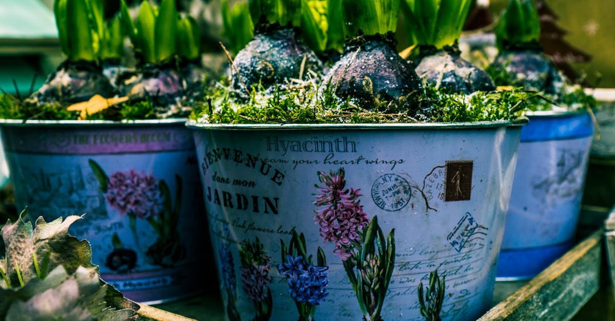 découvrez la foire home & garden, l'événement incontournable pour embellir votre maison et votre jardin avec des idées déco, du mobilier et des conseils d'experts.