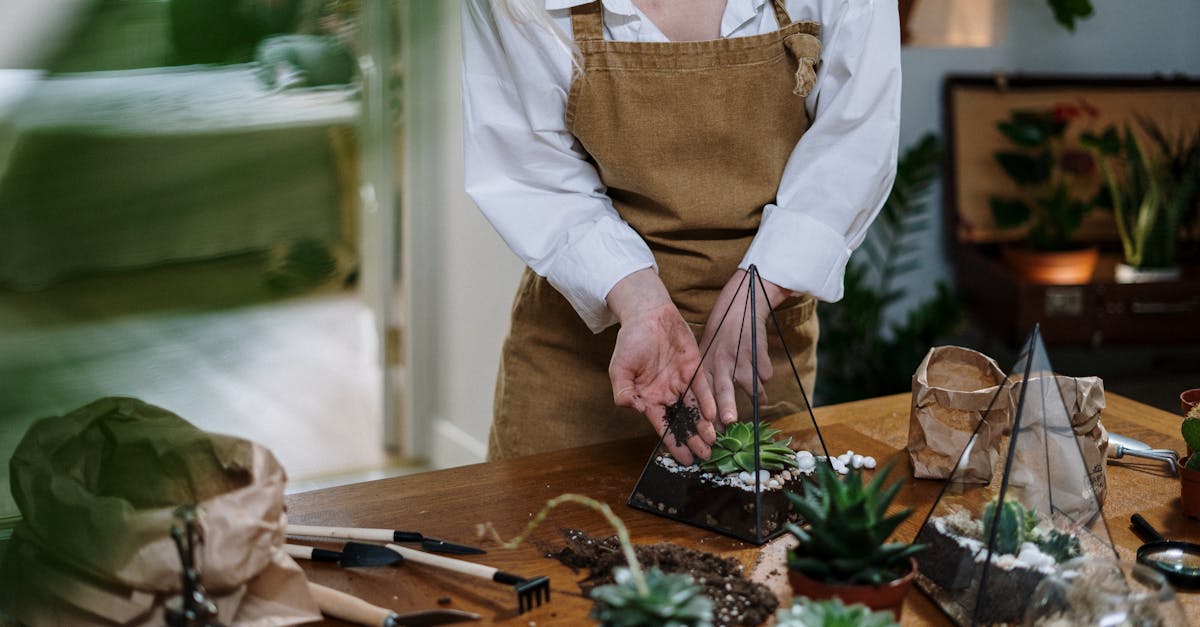 découvrez la foire maison & jardin : des idées, des conseils et les dernières tendances pour embellir votre intérieur et votre extérieur.