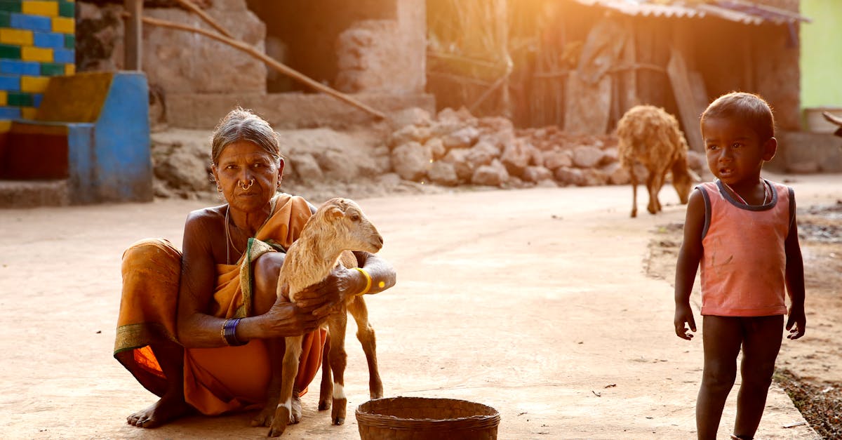 d&eacute;couvrez l'inde, un pays riche en culture, histoire et paysages diversifi&eacute;s, offrant une exp&eacute;rience unique entre traditions anciennes et modernit&eacute;.