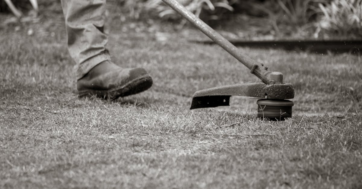 services professionnels d'entretien de pelouse pour un jardin verdoyant et en bonne sant&eacute; toute l'ann&eacute;e.