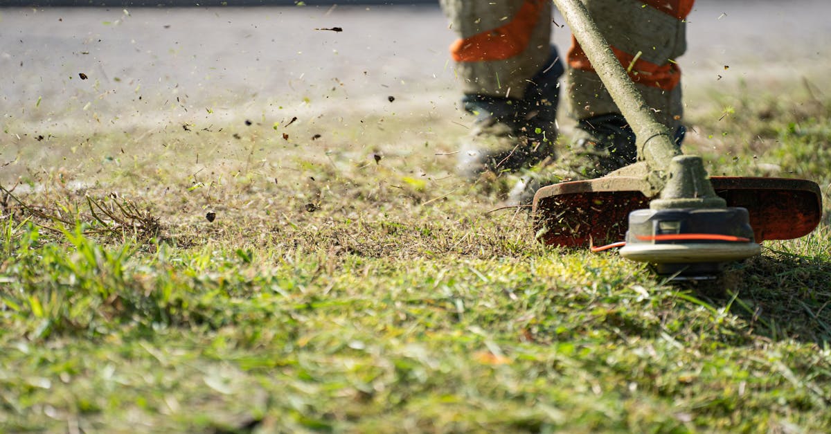 conseils et services experts pour l'entretien de votre pelouse afin qu'elle reste verte, saine et impeccable toute l'ann&eacute;e.