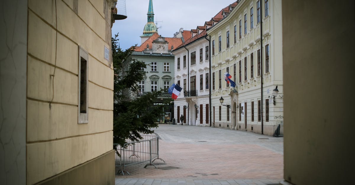 d&eacute;couvrez les r&ocirc;les, responsabilit&eacute;s et fonctionnement des collectivit&eacute;s locales pour une gestion efficace et proche des citoyens.