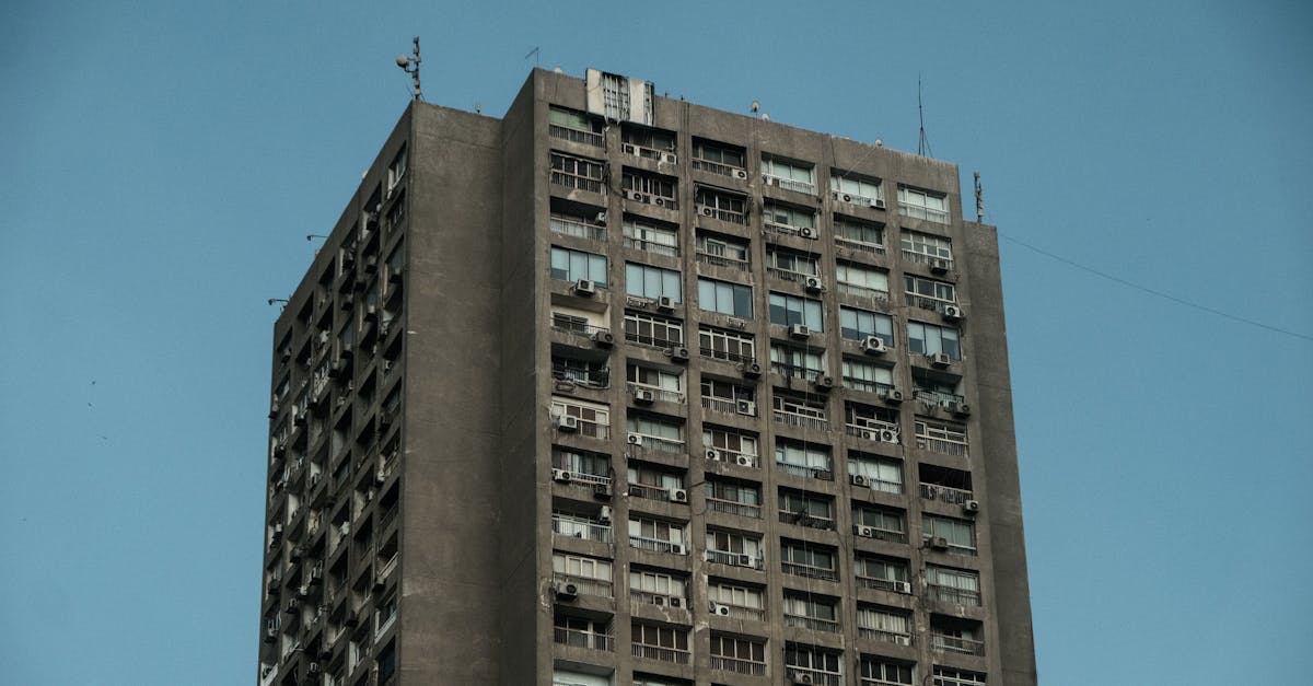 d&eacute;couvrez les r&ocirc;les, responsabilit&eacute;s et organisation des gouvernements locaux, essentiels &agrave; la gestion des collectivit&eacute;s et &agrave; la mise en &oelig;uvre des politiques publiques au niveau territorial.