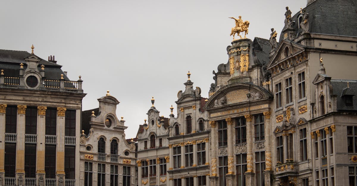 découvrez toutes les informations clés sur les élections municipales de lyon en 2026 : candidats, programmes, dates importantes et enjeux pour la métropole lyonnaise.