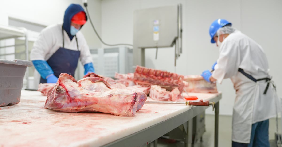 d&eacute;couvrez les strat&eacute;gies climatiques adopt&eacute;es par l'industrie de la viande pour r&eacute;duire son impact environnemental et promouvoir un avenir plus durable.