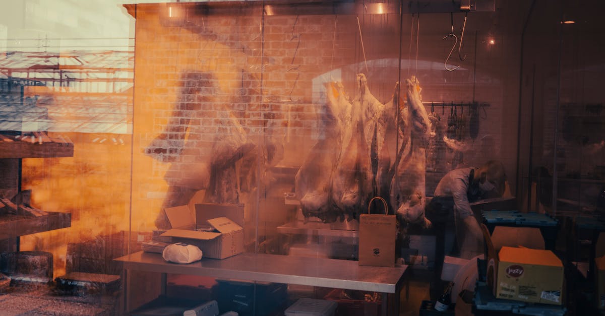 d&eacute;couvrez les strat&eacute;gies de la industrie de la viande pour r&eacute;duire son impact climatique et promouvoir une production durable et responsable.