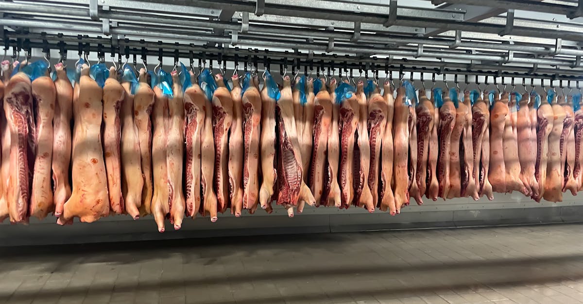 d&eacute;couvrez les strat&eacute;gies climatiques dans l'industrie de la viande pour r&eacute;duire l'empreinte carbone et favoriser un avenir plus durable.