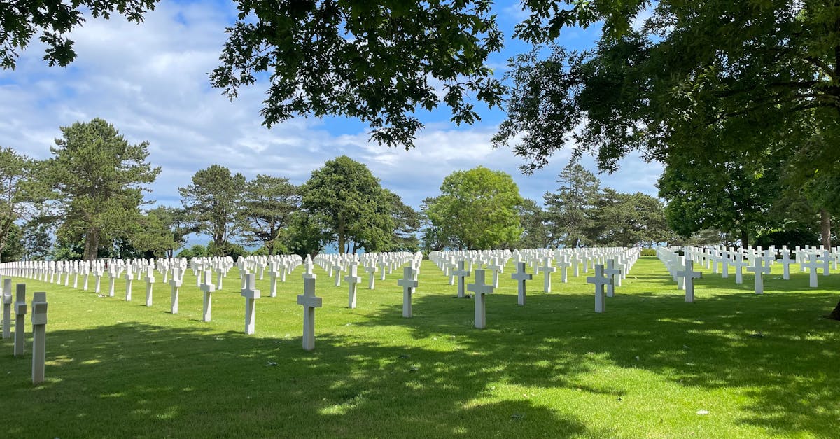 réflexion de michel winock sur la guerre et la paix, analysant les enjeux historiques et contemporains pour mieux comprendre les dynamiques du conflit et de la coexistence pacifique.