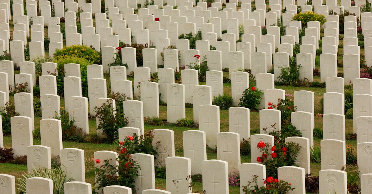 réflexion de michel winock sur la guerre et la paix : une analyse profonde des conflits et des conditions nécessaires à la paix durable.