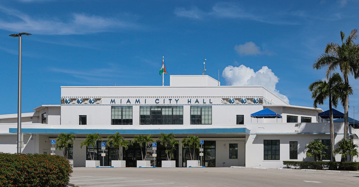 d&eacute;couvrez toutes les informations essentielles sur les &eacute;lections municipales : calendrier, candidats, r&eacute;sultats et enjeux locaux pour bien voter.