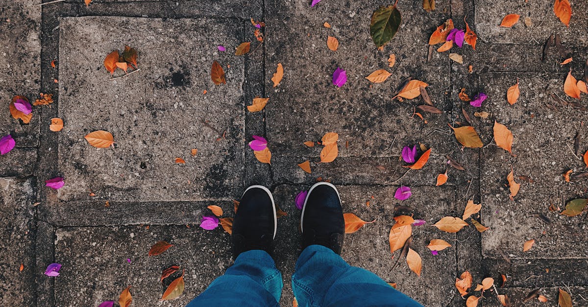 découvrez l'importance du respect dans nos relations quotidiennes et comment il favorise l'harmonie et la compréhension mutuelle.