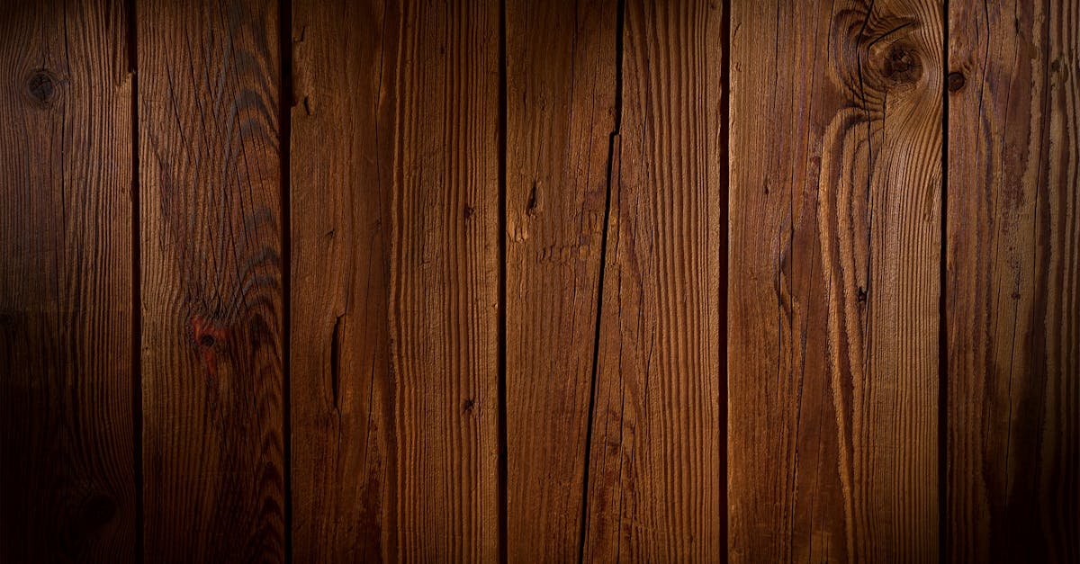 d&eacute;couvrez l'importance du respect dans nos relations quotidiennes et comment il favorise l'harmonie et la compr&eacute;hension mutuelle.