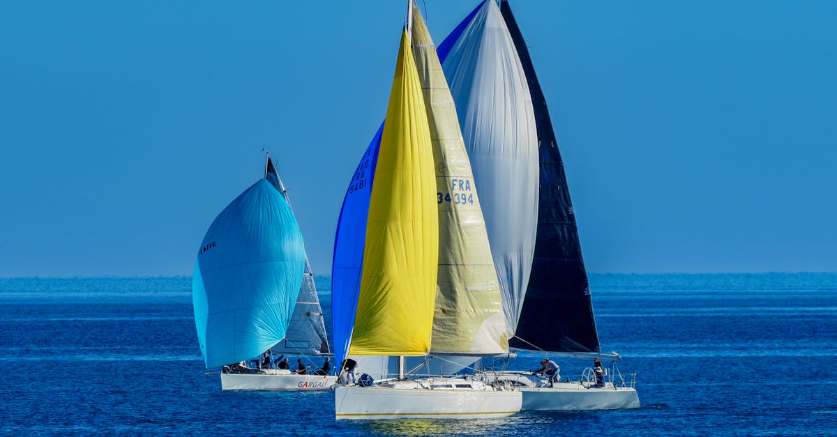 d&eacute;couvrez les joies de la voile : conseils, destinations, &eacute;quipements et techniques pour naviguer en toute s&eacute;curit&eacute; et profiter pleinement de cette activit&eacute; nautique.