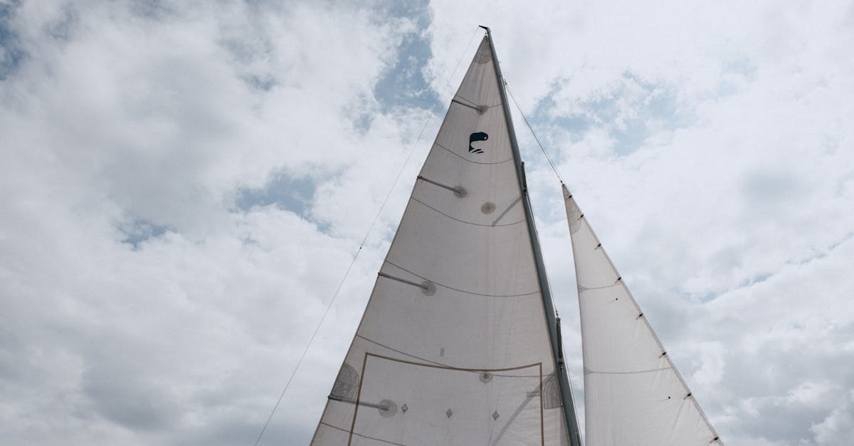 d&eacute;couvrez l'art de la voile : conseils, techniques et destinations pour vivre des aventures inoubliables en mer.