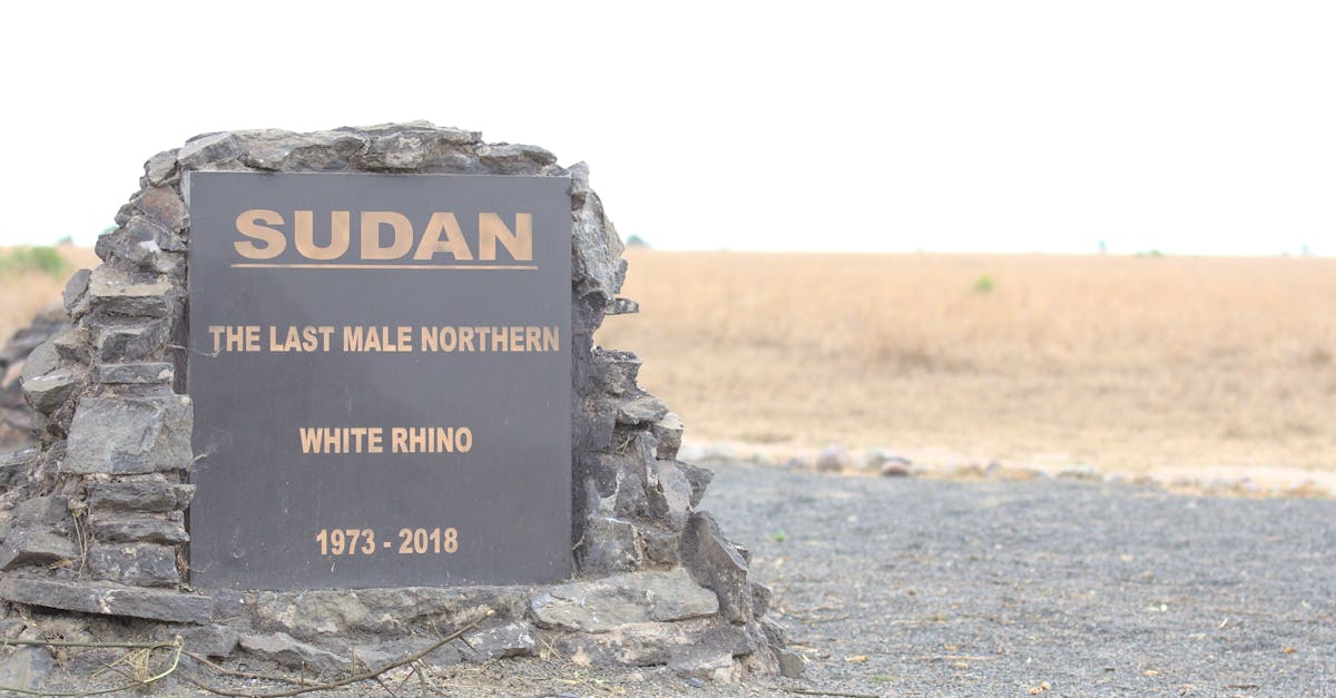 d&eacute;couvrez les causes, les cons&eacute;quences et les moyens de pr&eacute;venir l'extinction des esp&egrave;ces pour pr&eacute;server la biodiversit&eacute; de notre plan&egrave;te.