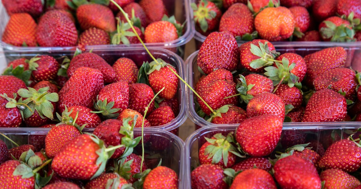 d&eacute;couvrez tout sur la fraise : ses bienfaits, ses vari&eacute;t&eacute;s et ses recettes d&eacute;licieuses pour profiter pleinement de ce fruit savoureux.
