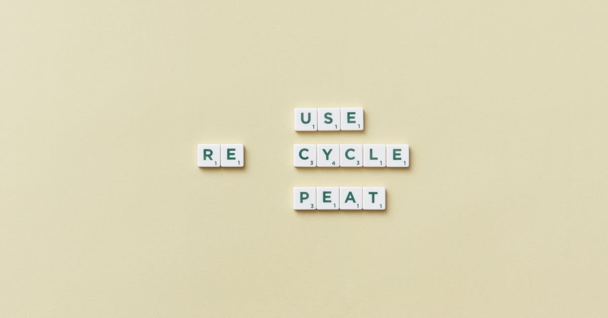 découvrez les meilleures pratiques et innovations en matière de durabilité pour un avenir respectueux de l'environnement et responsable.