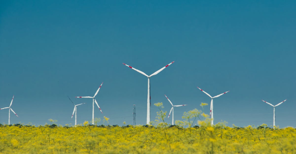 découvrez des informations et conseils pratiques pour adopter des pratiques durables et respecter l'environnement dans tous les aspects de votre vie.