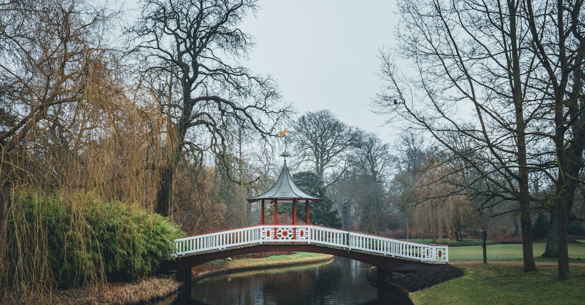 d&eacute;couvrez l'importance des arbres urbains pour am&eacute;liorer la qualit&eacute; de vie en ville, purifier l'air et offrir de l'ombre naturelle.