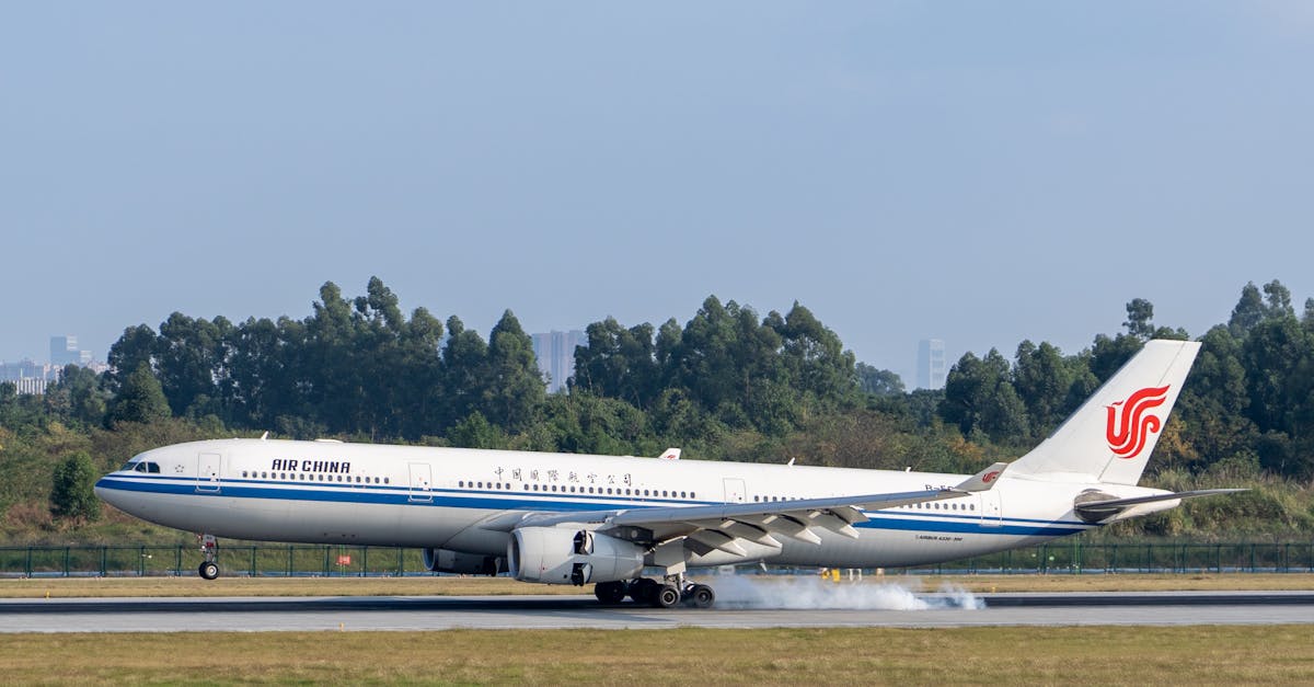 d&eacute;couvrez l'importance des arbres urbains pour am&eacute;liorer la qualit&eacute; de vie en ville, r&eacute;duire la pollution et embellir les espaces publics.