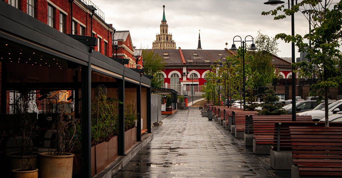 d&eacute;couvrez l'importance des arbres urbains pour am&eacute;liorer la qualit&eacute; de vie en ville, offrir de l'ombre, purifier l'air et embellir les espaces urbains.
