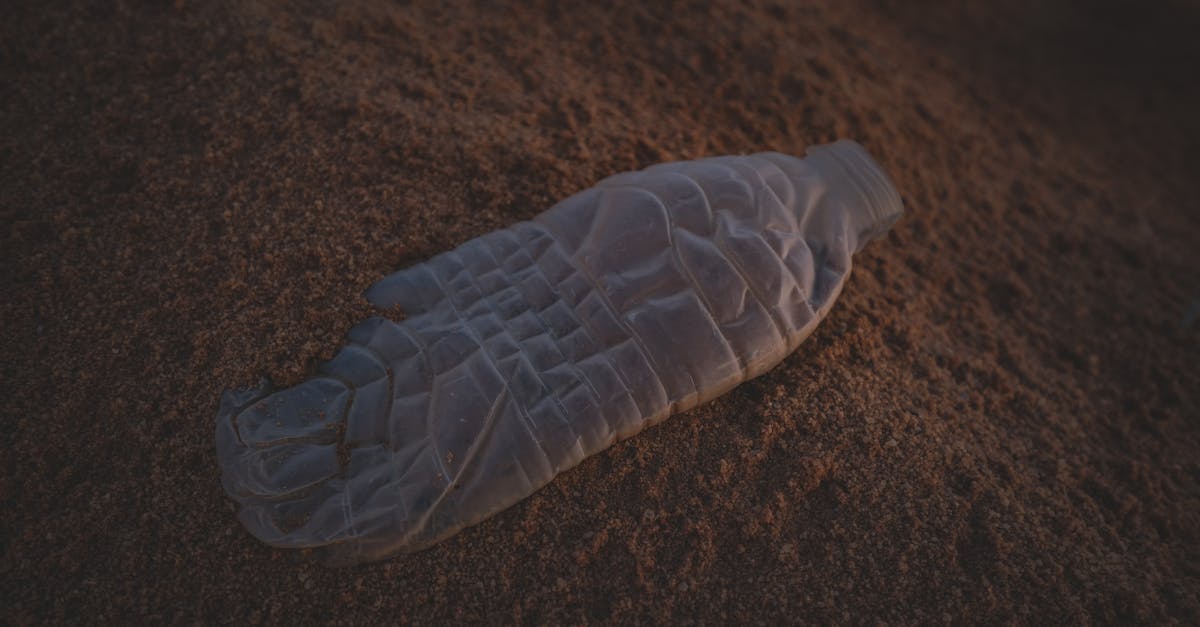 découvrez des stratégies efficaces pour réduire les déchets, adopter des pratiques durables et contribuer à la protection de l'environnement.