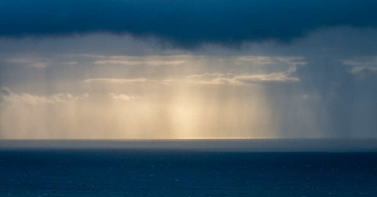 d&eacute;couvrez amoc, une r&eacute;f&eacute;rence incontournable alliant innovation et expertise pour r&eacute;pondre &agrave; vos besoins.