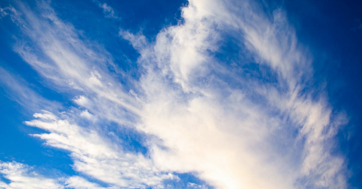 d&eacute;couvrez les enjeux du climat, ses impacts environnementaux et comment agir pour un avenir durable.