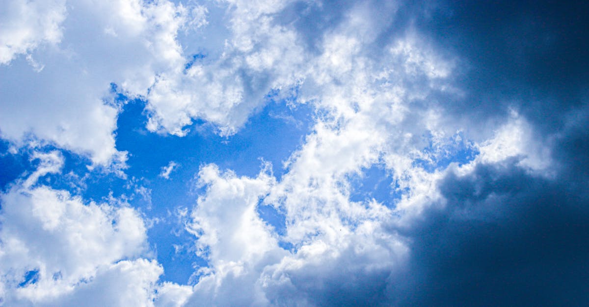 d&eacute;couvrez les enjeux du climat, les changements environnementaux et les actions pour pr&eacute;server notre plan&egrave;te.