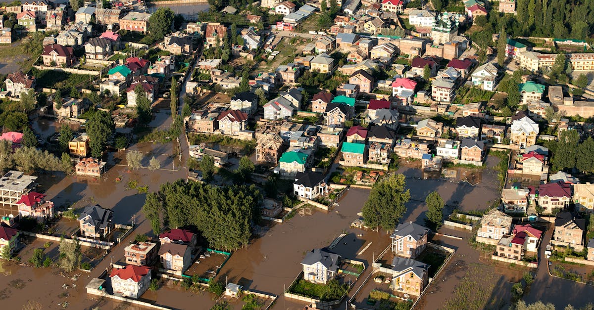 découvrez les stratégies et solutions innovantes pour l'adaptation au changement climatique, afin de protéger les communautés et les écosystèmes face aux défis environnementaux actuels.