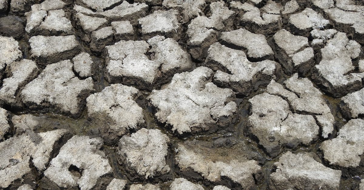 d&eacute;couvrez les causes, les impacts et les solutions du changement climatique pour mieux comprendre et agir face &agrave; cette urgence mondiale.
