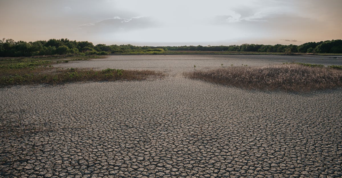 d&eacute;couvrez les causes, les impacts et les solutions du changement climatique pour prot&eacute;ger notre plan&egrave;te et assurer un avenir durable.