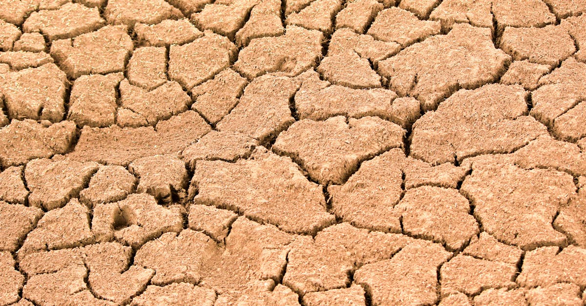 d&eacute;couvrez les causes, les impacts et les solutions li&eacute;es au changement climatique pour mieux comprendre et agir face &agrave; cet enjeu crucial de notre plan&egrave;te.