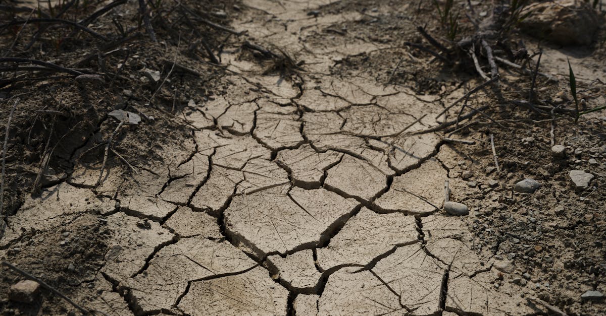 d&eacute;couvrez les causes, les impacts et les solutions face au changement climatique pour pr&eacute;server notre plan&egrave;te et assurer un avenir durable.