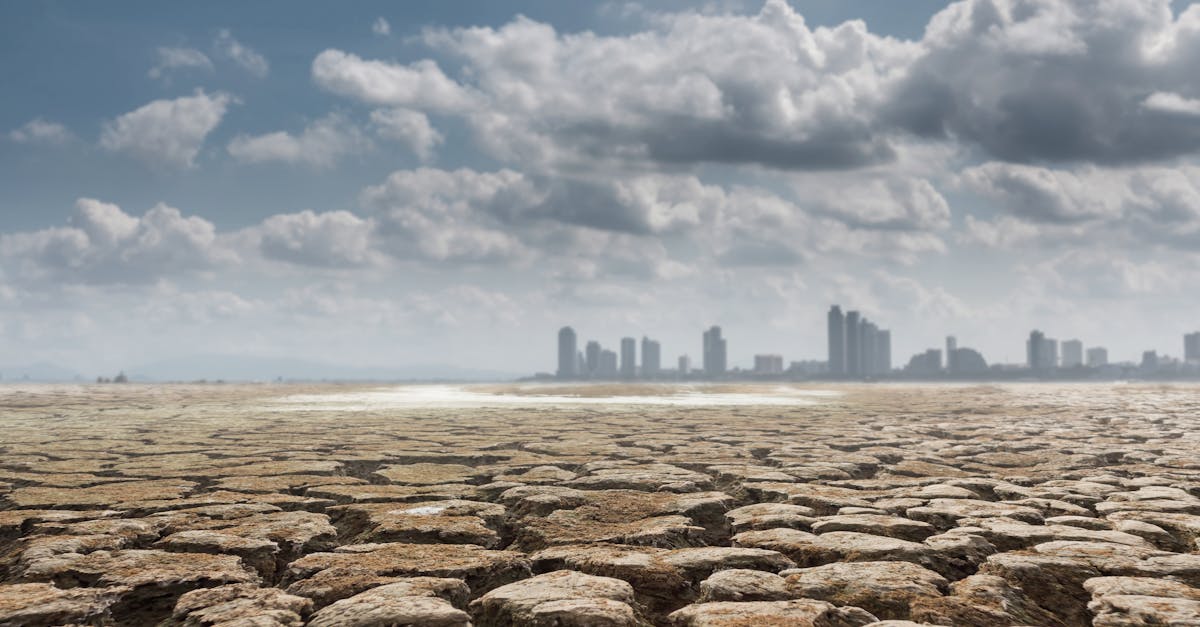 d&eacute;couvrez les causes, les impacts et les solutions face au changement climatique pour prot&eacute;ger notre plan&egrave;te et assurer un avenir durable.