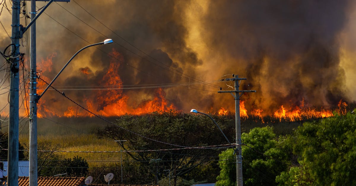 d&eacute;couvrez les risques li&eacute;s au changement climatique et leurs impacts sur l'environnement, l'&eacute;conomie et la soci&eacute;t&eacute;, ainsi que les mesures pour les att&eacute;nuer.