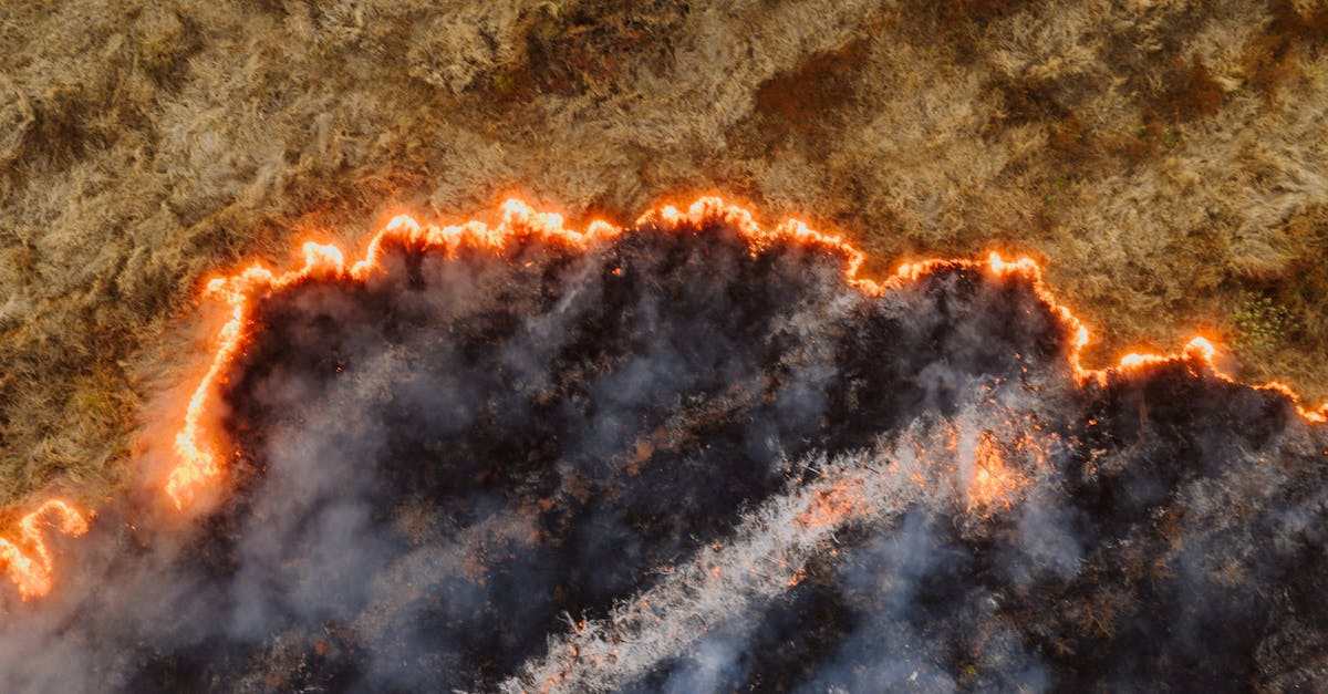 d&eacute;couvrez les risques li&eacute;s au changement climatique et leurs impacts sur l'environnement, l'&eacute;conomie et la soci&eacute;t&eacute;, ainsi que les mesures pour att&eacute;nuer ces effets.