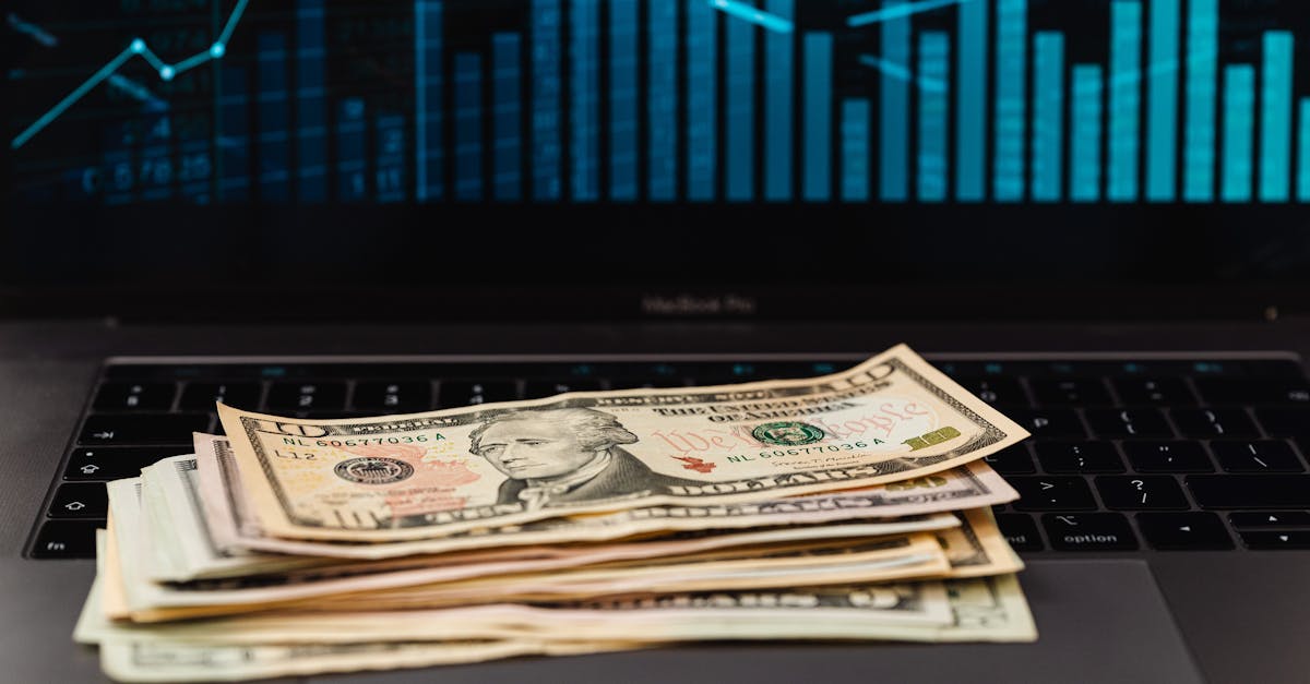 d&eacute;couvrez les m&eacute;canismes et les strat&eacute;gies de la finance climatique pour soutenir les investissements durables et lutter contre le changement climatique.