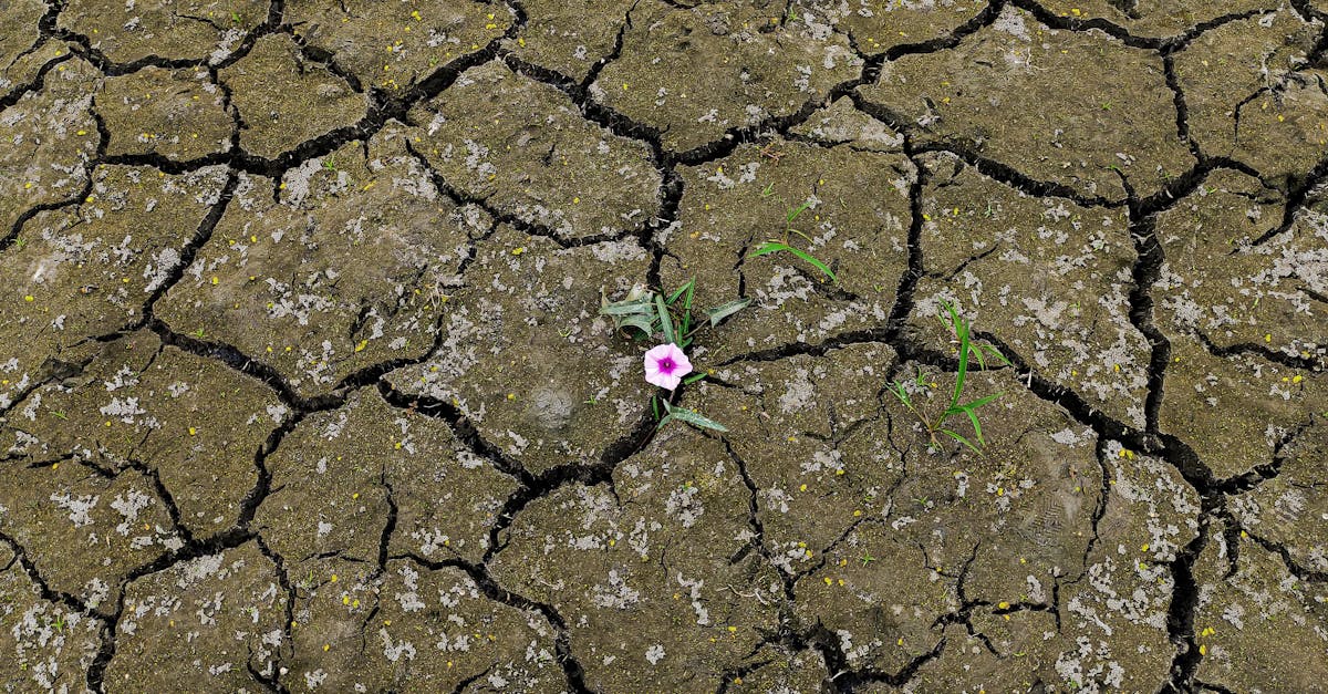 d&eacute;couvrez comment renforcer la r&eacute;silience climatique pour mieux anticiper, s'adapter et prot&eacute;ger les communaut&eacute;s face aux changements environnementaux.