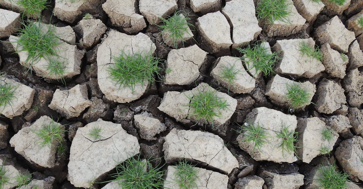 d&eacute;couvrez des strat&eacute;gies et solutions pour renforcer la r&eacute;silience climatique face aux d&eacute;fis environnementaux actuels et futurs.
