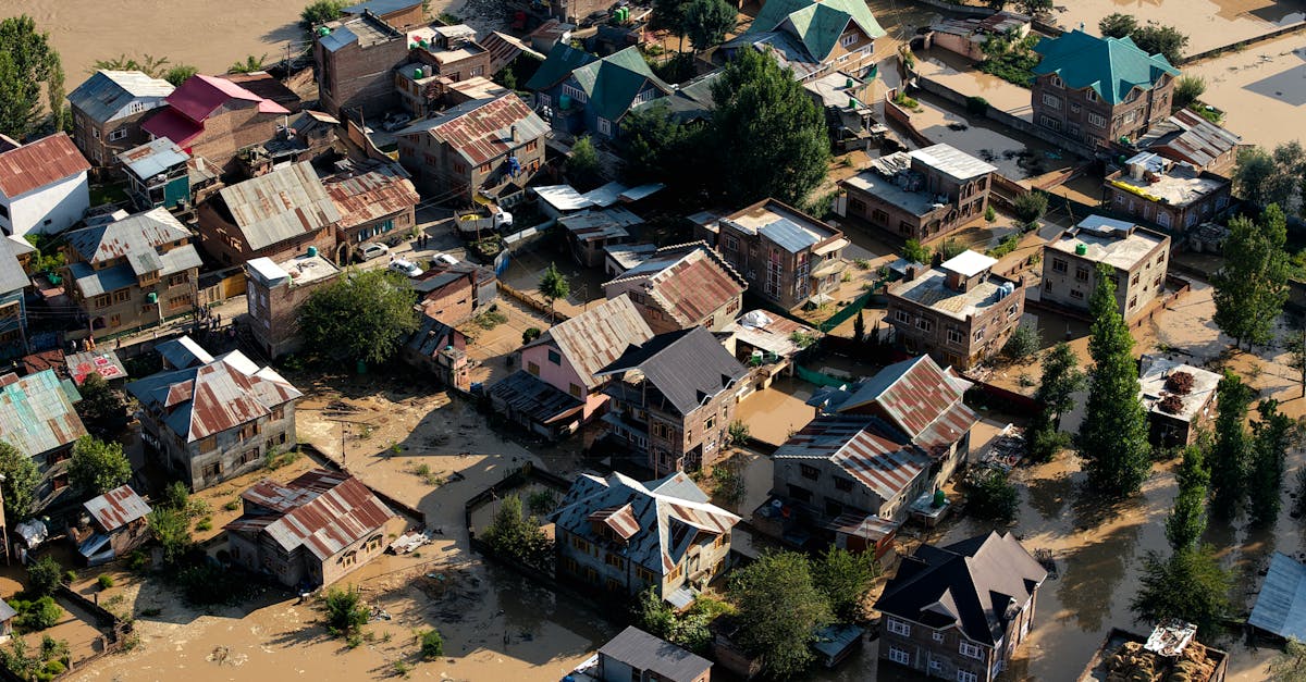 d&eacute;couvrez comment renforcer la r&eacute;silience climatique pour mieux anticiper, s'adapter et att&eacute;nuer les impacts du changement climatique sur les communaut&eacute;s et l'environnement.