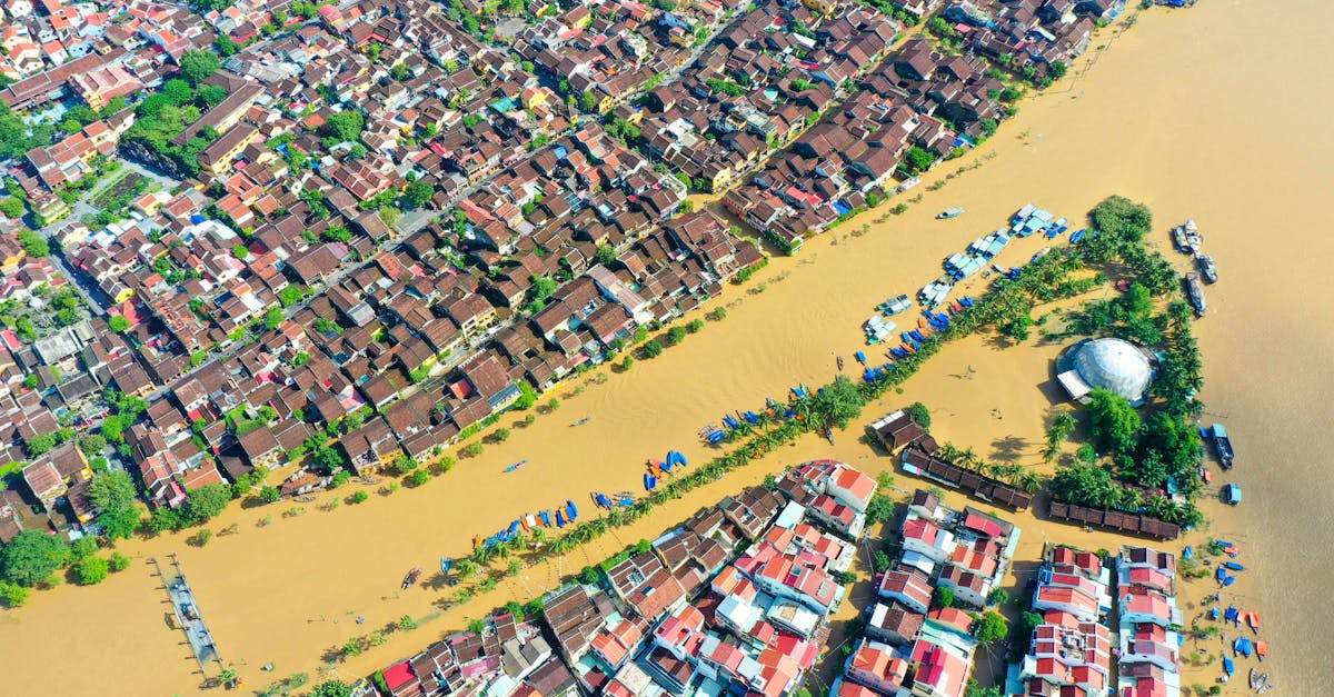 d&eacute;couvrez des strat&eacute;gies et solutions innovantes pour renforcer la r&eacute;silience climatique face aux changements environnementaux et prot&eacute;ger nos communaut&eacute;s.