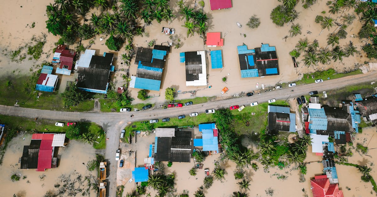d&eacute;couvrez les strat&eacute;gies et solutions innovantes pour renforcer la r&eacute;silience climatique face aux d&eacute;fis environnementaux actuels et futurs.